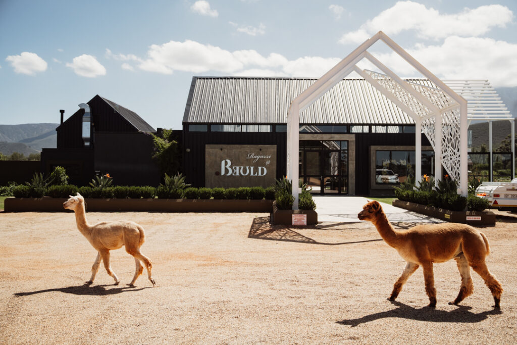 tyanderi_com wedding at Beuld the venue
